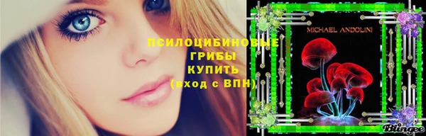 мескалин Арсеньев