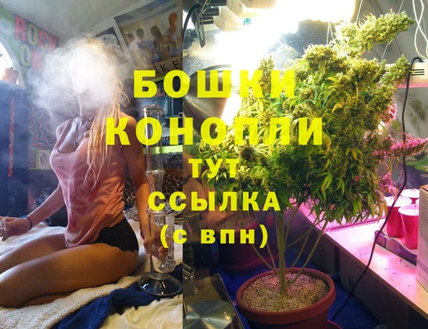 ПСИЛОЦИБИНОВЫЕ ГРИБЫ Армянск