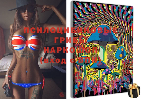 ПСИЛОЦИБИНОВЫЕ ГРИБЫ Армянск