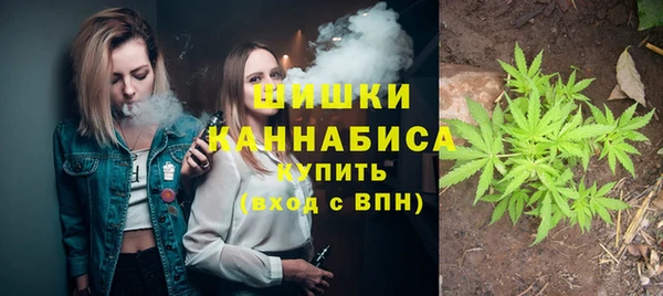 ПСИЛОЦИБИНОВЫЕ ГРИБЫ Армянск