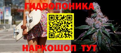 spice Гусиноозёрск
