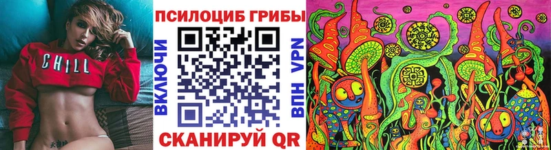 omg ССЫЛКА  Междуреченск  Галлюциногенные грибы ЛСД 